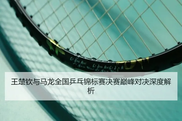 王楚钦与马龙全国乒乓锦标赛决赛巅峰对决深度解析（Oulu）